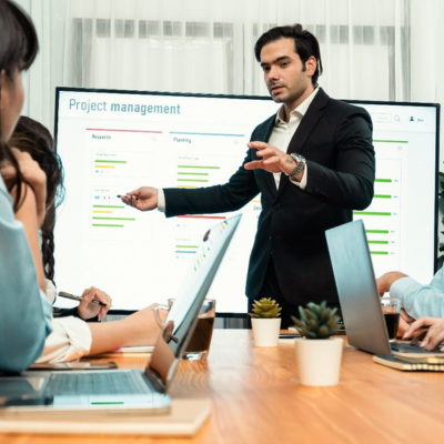 Business Development & Sales Consulting